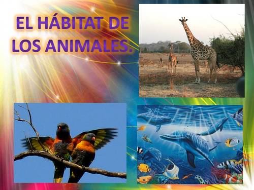 TEMA 1 : LOS ANIMALES Y SUS HÁBITATS - Yolanda